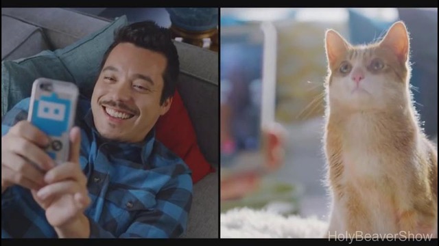 7 жизненных уроков от твоего котейки