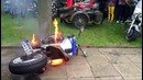 Best Fails of the Week 1 June 2015 || FailArmy