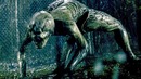 Страшные истории для рассказа в темноте — Русский трейлер #3 (2019)