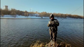 Городской окунь – Fishing Today