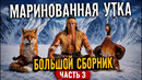 Маринованная утка. Большой выпуск часть 3