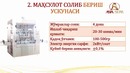 Шиша идишга қадоқлаш линияси
