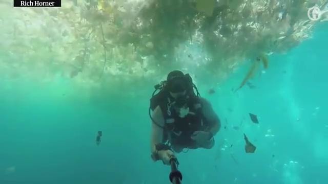Отдых на Бали: британский дайвер показал кадры замусоренного океана