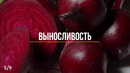 Вот что будет если съедать 1 свёклу каждый день (Удивительно)