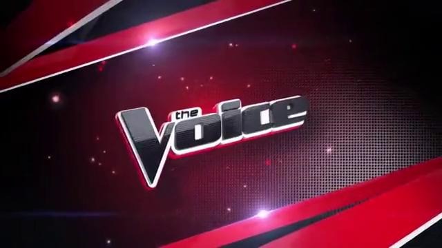 The Voice (U.S Version) Season 4. Episode 3. Blind Auditions Part 1
