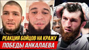 ЯРОСТНЫЕ РЕАКЦИИ БОЙЦОВ UFC – АНКАЛАЕВ vs БЛАХОВИЧ. МАХАЧЕВ, ЧИМАЕВ, ХАБИБ, UFC 282 – НОВОСТИ ММА