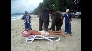 В Таиланде массаж делают.. слоны