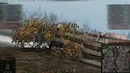 А-44 – Высший скилл. Amway921