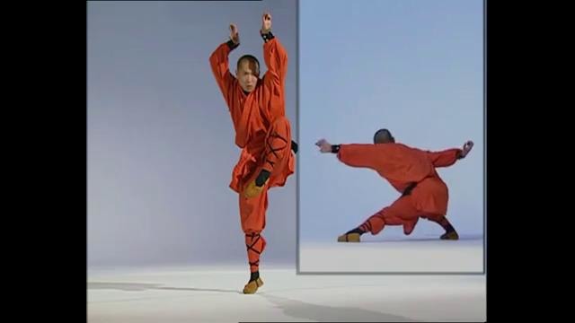 Shaolin kung-fu. 17 стиль орла