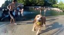 Животные, которые умеют наслаждаться