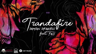 Damian Draghici feat. Feli – Trandafire (Official Single)