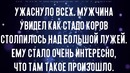 Коровы нашли в поле странное существо
