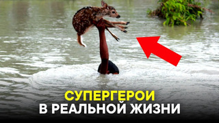 ПОСТУПКИ ДОСТОЙНЫЕ УВАЖЕНИЯ! ПОМОЩЬ ЖИВОТНЫМ! СУПЕРГЕРОИ В РЕАЛЬНОЙ ЖИЗНИ