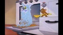 Tom & Jerry – В горошек