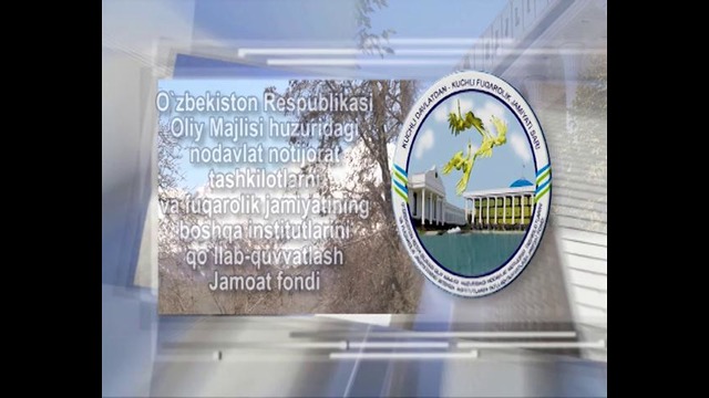Поддержка проектов ННО, направленных на воспитание физически здорового и гармонично