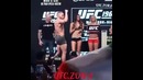 Mc Gregor vs Nate Diaz перед выступлением