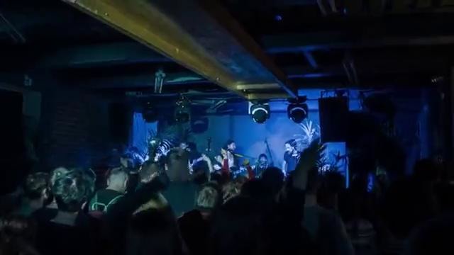 Needshes – time to see