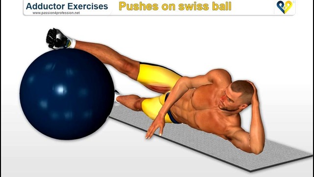 Раджапов: Внутренняя часть бедра (приводящие мышцы)