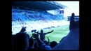Ultras Динамо Москва