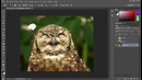 Видео уроки Фотошопа для начинающих. Урок #14. Свойства слоя Background