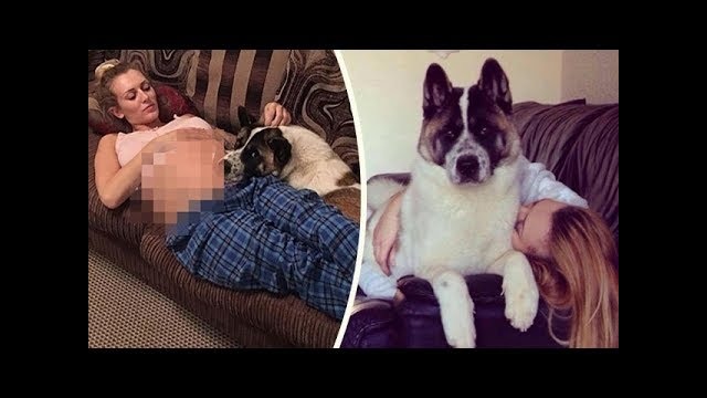 Собака не давала покоя беременной девушке