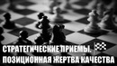 ШАХМАТЫ. СТРАТЕГИЧЕСКИЕ ПРИЕМЫ. Позиционная жертва качества. Ведущий МФ Витик (1)