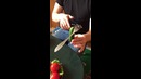 Это физика