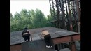 Паркур по-русски из Питера на развалинах СССР