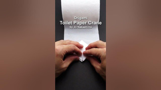 Origami Toilet Paper Crane #shorts