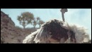 Samsung Official TVC: Ostrich