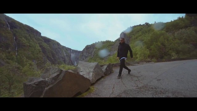 Musiqq-В книге редких видов 2017 Латвия