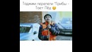 Таджики перепели Грибы – Тает Лед