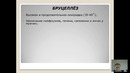 Лихорадочный синдром