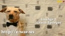 Шарик Шоу – Опасные Наркотики (выпуск 28)