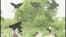 Bobina – Angel of the North