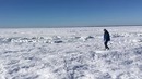 Whole ocean is frozen, INSANE