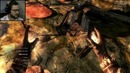 The Elder Scrolls V: Skyrim КРАСОТА #2