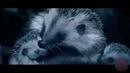 Бог ёжиков – реклама авто от Volkswagen