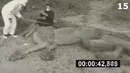 20 неизвестных существ снятых на камеру