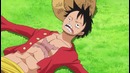 One Piece 779 (Shachiburi)