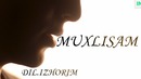 Muxlisam – Dil izhorim #12