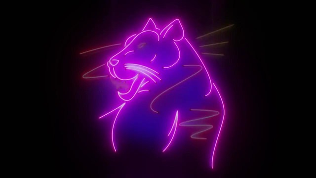 Wiwek & Kuenta i Tambu – Black Panther