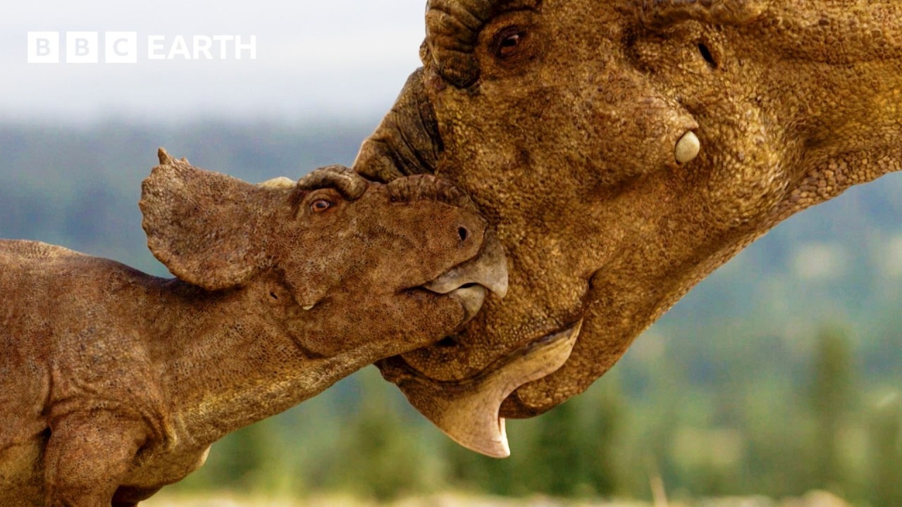 Baby Pachyrhinosaurus Struggles to Survive in the Wilderness | Walking