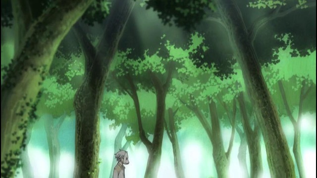 AnimatedReview – В лес, где мерцают светлячки