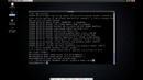 Установка и настройка LAMP (Linux, Apache, MySQL, PHP) на веб-сервер c Debian