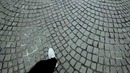 Словетский – Москва