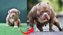 I’m A Big Kid Now | The Incredible Animal Transformation