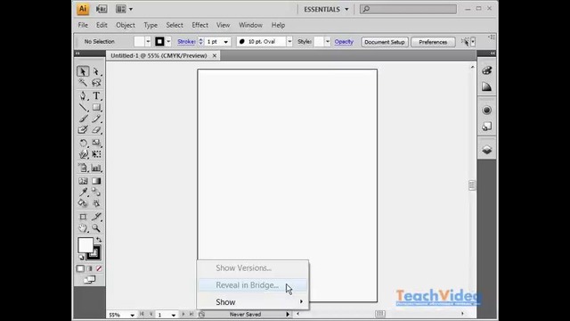 1. Интерфейс Adobe Illustrator CS4 командное меню Illustrator CS4