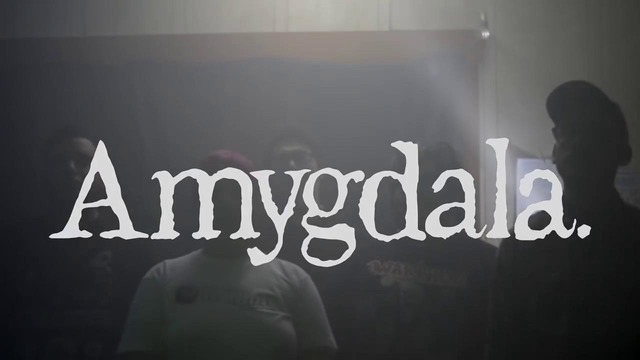 Amygdala – I Hate To Say It (Official Video 2019)