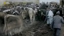 Апокалипсис Первая мировая война. Ад (Европа горит) Серия 3